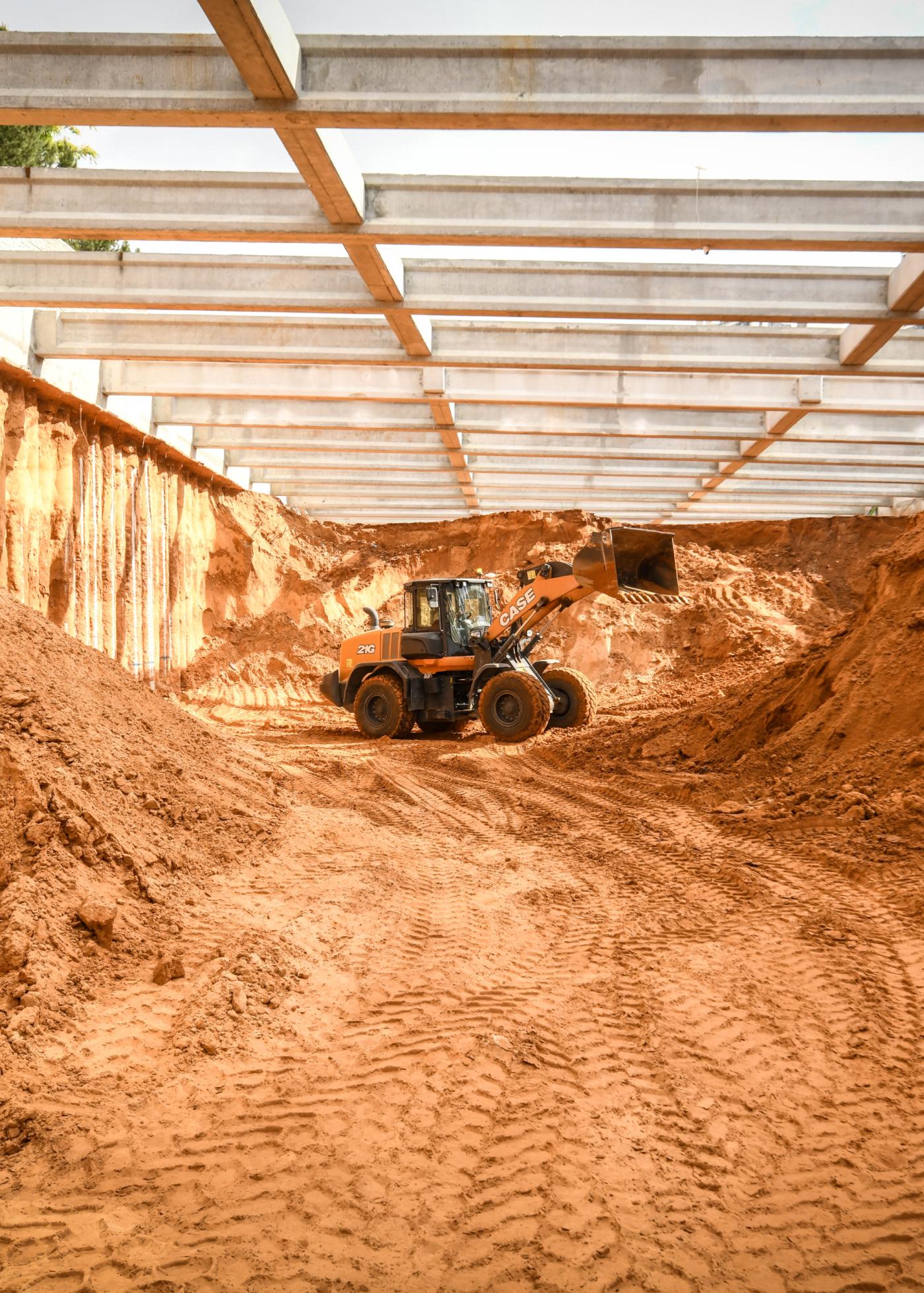 Rafael Eitan Lowering Project